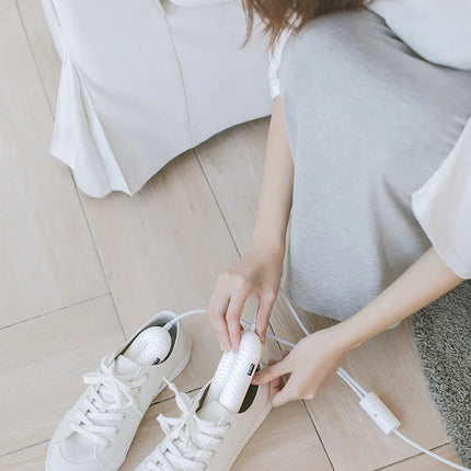 Electric shoe dryer and warmer