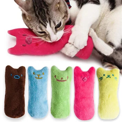 Jouets à l'herbe à chat pour les dents