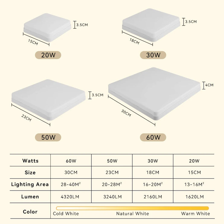 220V LED Ceiling Lamp