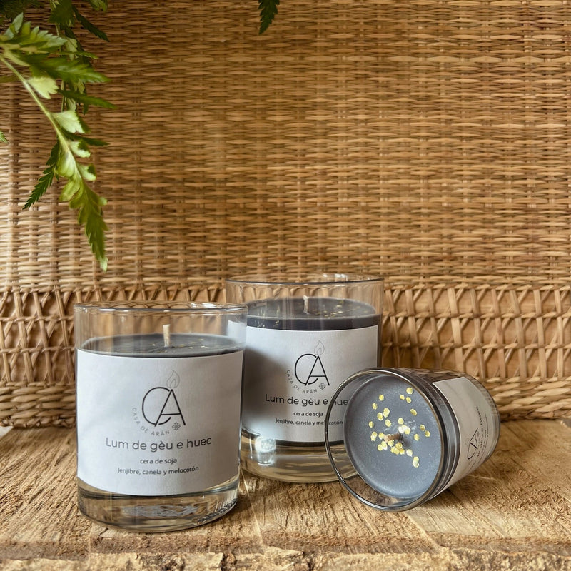 Vela Lum de gèu e huec "Luz de hielo y fuego" Edición de temporada ❄️🔥Home & Garden > Decor > Home Fragrances > Candles