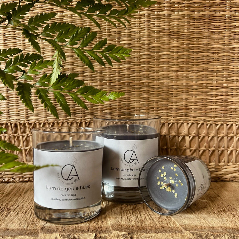 Vela Lum de gèu e huec "Luz de hielo y fuego" Edición de temporada ❄️🔥Home & Garden > Decor > Home Fragrances > Candles