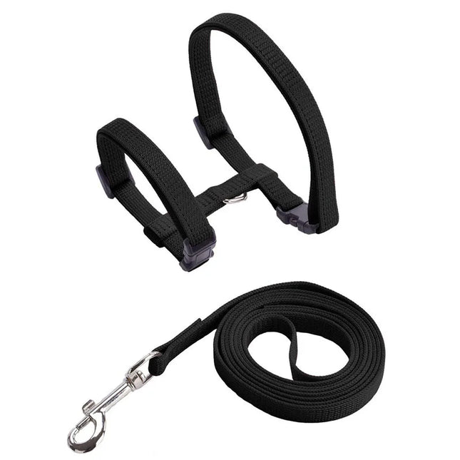 Cat harness and leash set