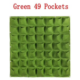 Verde 49