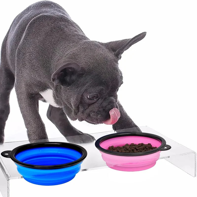 Comedero portátil 2 en 1 para mascotas | Plegable de silicona con mosquetónComederosAnimals & Pet Supplies > Pet Supplies > Pet Bowls, Feeders & Waterers > Travel Bowls