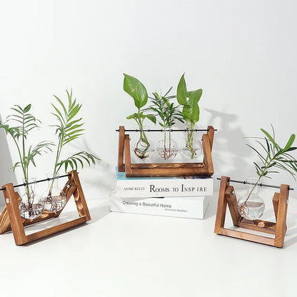 Creative Glass Flower Pot with Wooden Frame for Hydroponic Plants