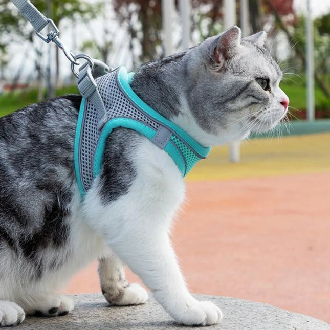 Adjustable pet harness and leash set