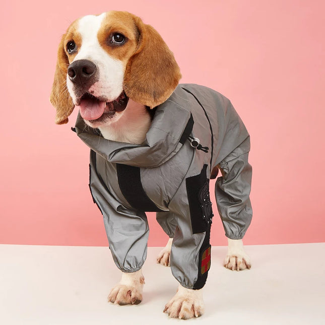 Combinaison réfléchissante et imperméable pour chien