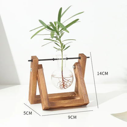 Maceta de vidrio creativo con marco de madera para plantas hidropónicas