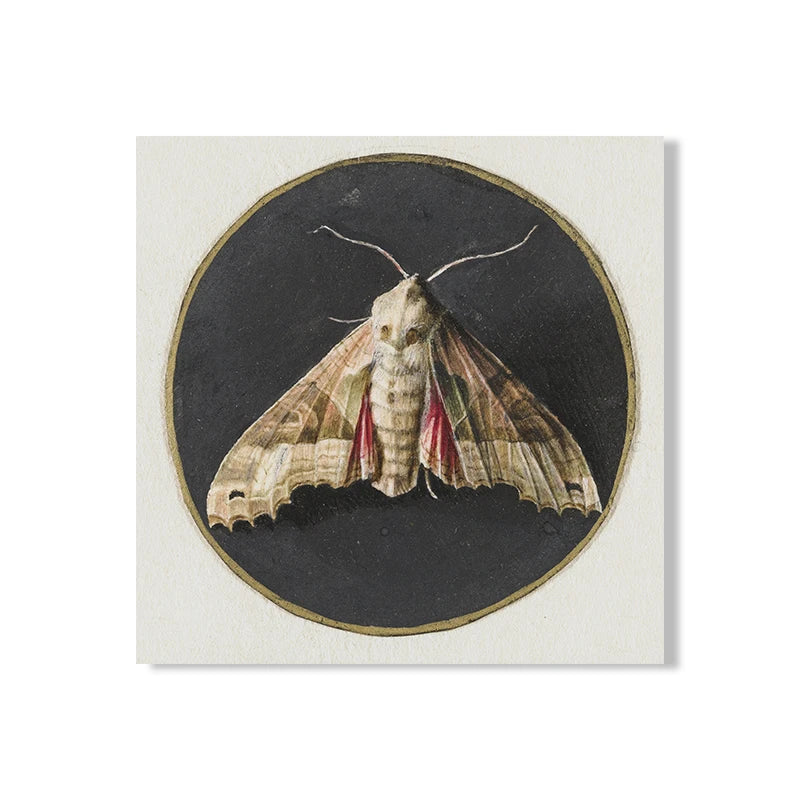 Impresiones de pintura en lienzo de animalesCuadrosHome & Garden > Decor > Artwork > Posters, Prints, & Visual Artwork > Visual Artwork