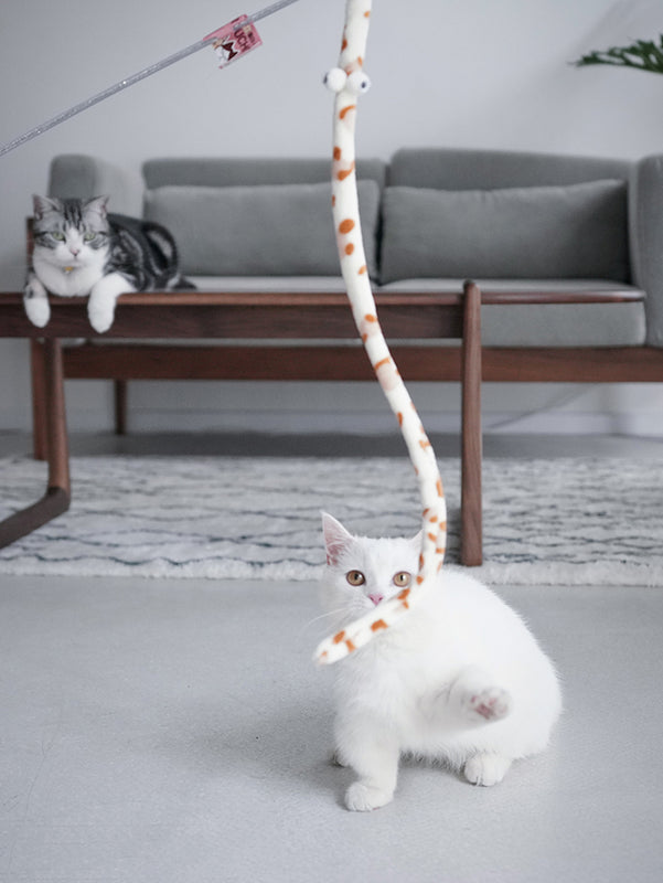 Varita de colores con cascabel con forma de gusanoJuguetesAnimals & Pet Supplies > Pet Supplies > Cat Supplies > Cat Toys > Feathers & Teasers