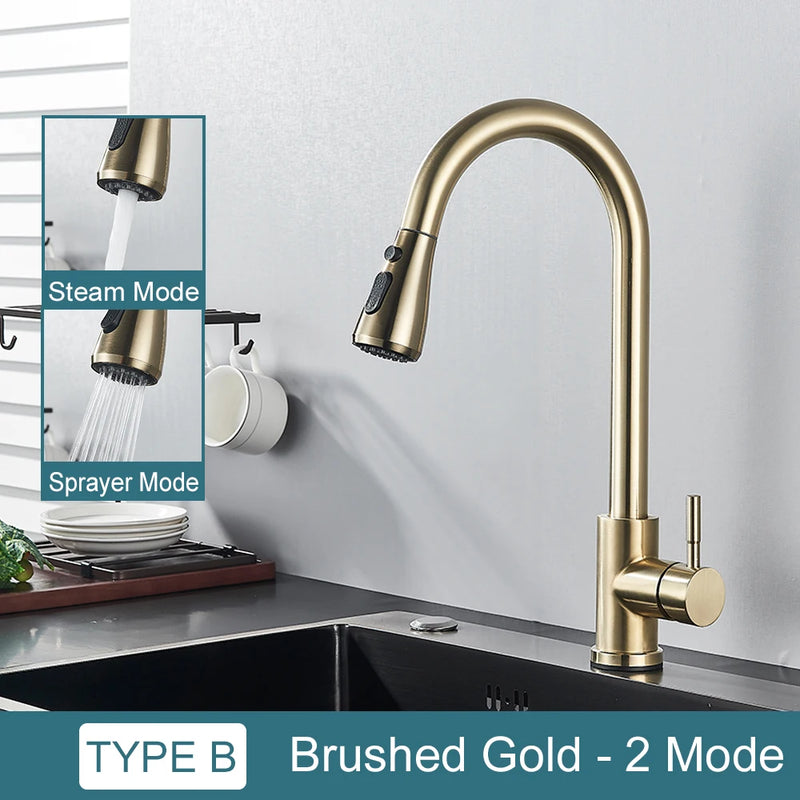 Grifo de cocina con doble función y salida retráctilGrifosHardware > Plumbing > Plumbing Fixtures > Faucets > Kitchen Sink Faucets