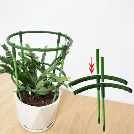 Supports pour plantes