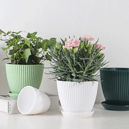 Striped Flower Pot with Tray