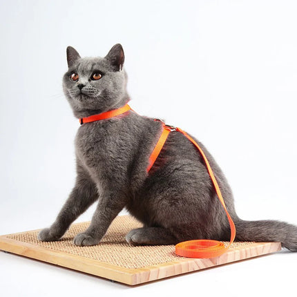 Cat harness and leash set