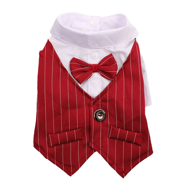 Costume, chemise et noeud papillon pour chat