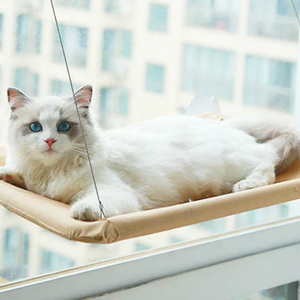 Hanging hammock for cats