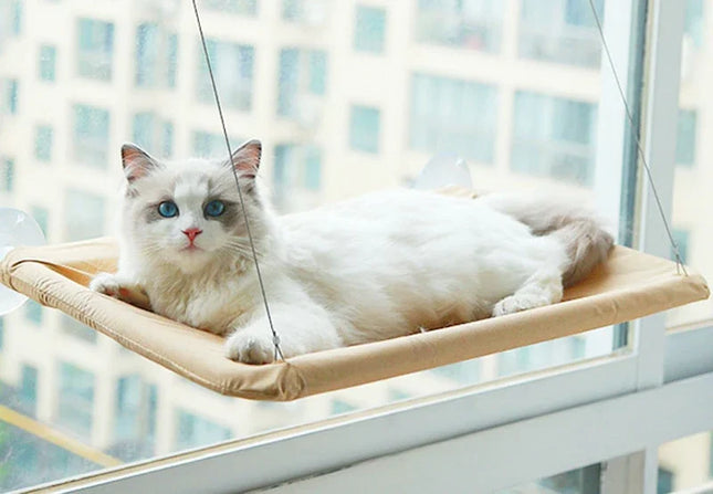 Hanging hammock for cats