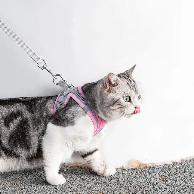 Adjustable pet harness and leash set