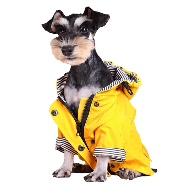 Chubasquero amarillo impermeable para perros