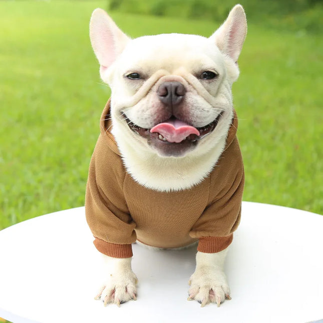 Sudadera con capucha de invierno para mascotas