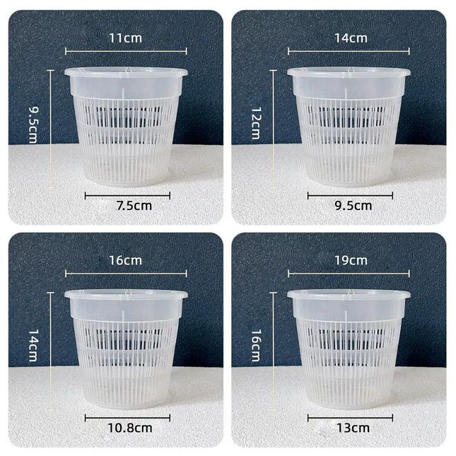 Macetero transparente para orquídeas