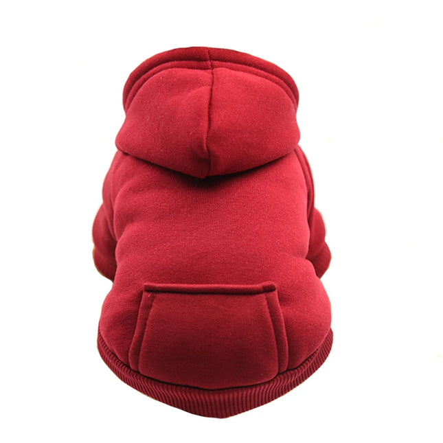 Winter pet hoodie