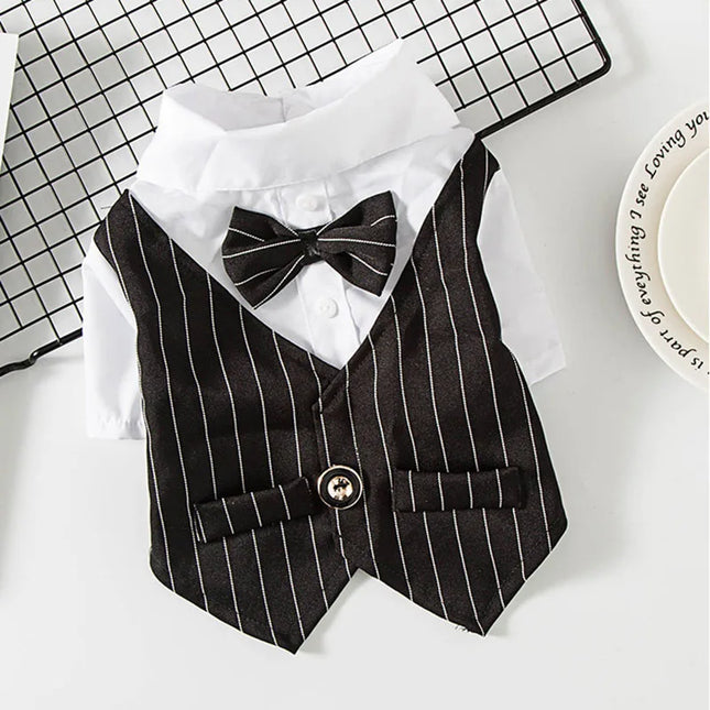 Suit, shirt and bow tie for cats