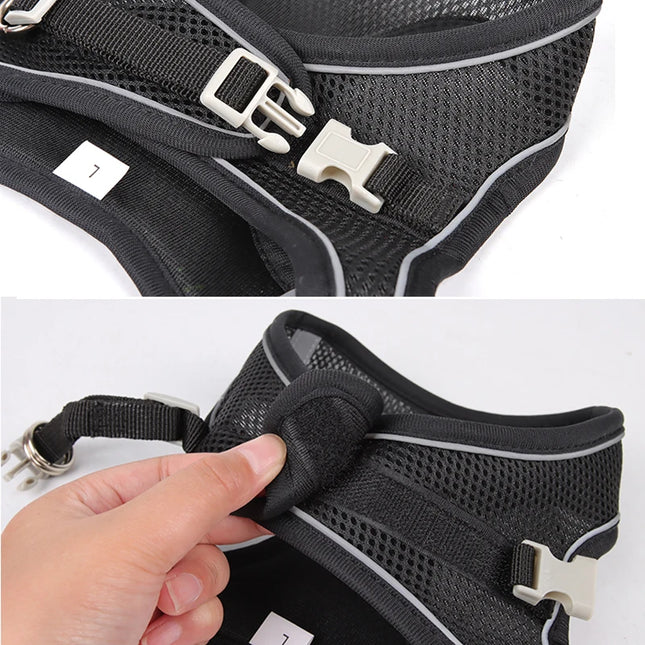 Adjustable pet harness and leash set