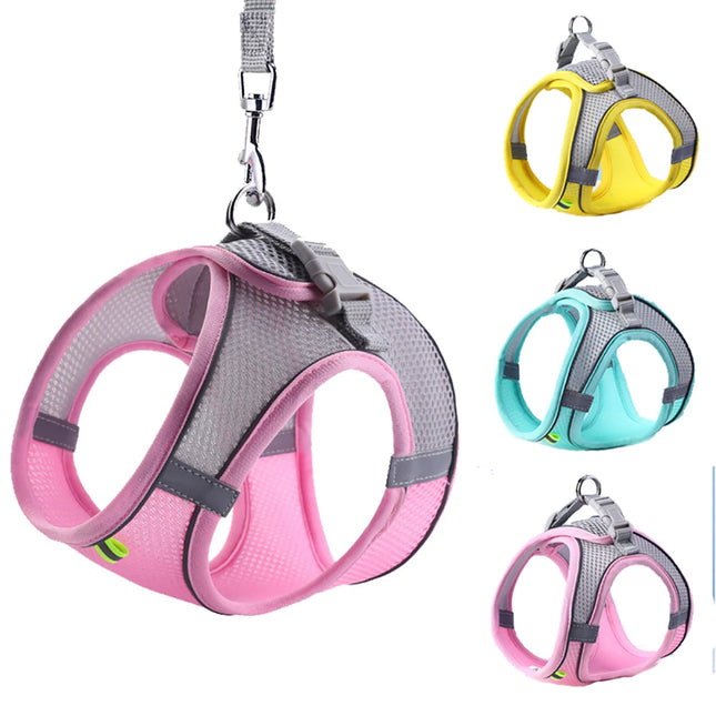 Adjustable pet harness and leash set