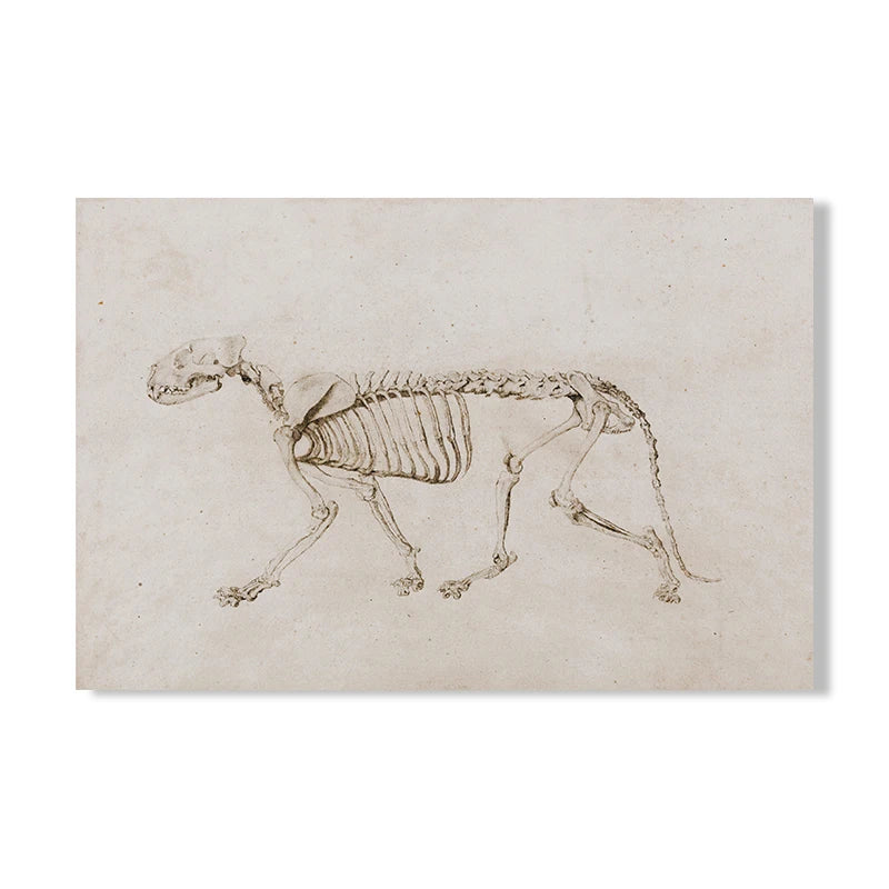 Impresiones de pintura en lienzo de animalesCuadrosHome & Garden > Decor > Artwork > Posters, Prints, & Visual Artwork > Visual Artwork