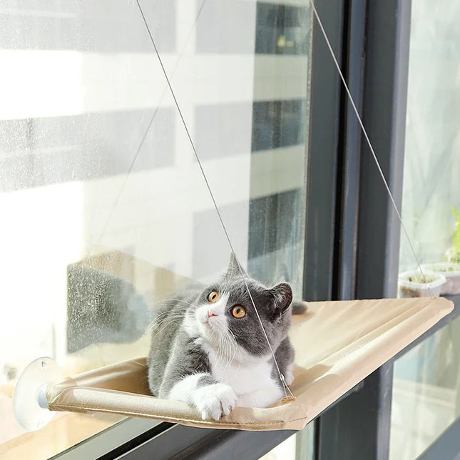 Hanging hammock for cats