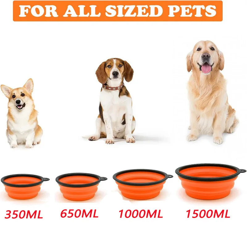 Comedero portátil 2 en 1 para mascotas | Plegable de silicona con mosquetónComederosAnimals & Pet Supplies > Pet Supplies > Pet Bowls, Feeders & Waterers > Travel Bowls
