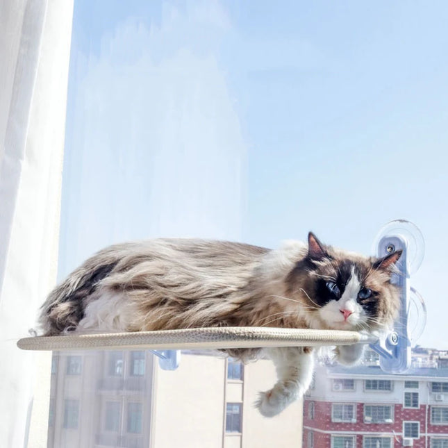 Hanging hammock with suction cup for cats