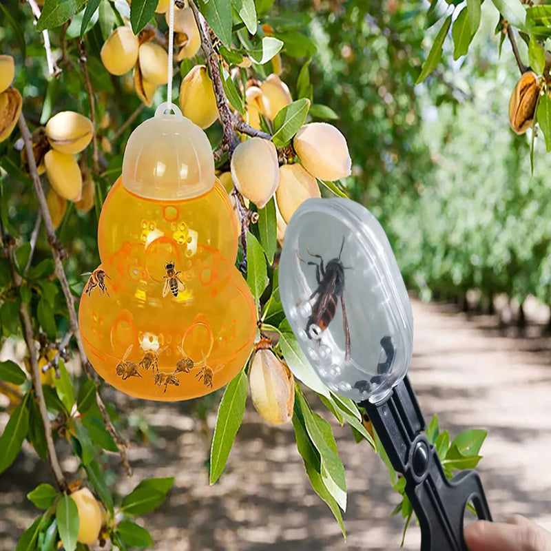 Clip capturador de InsectosAccesorios practicos