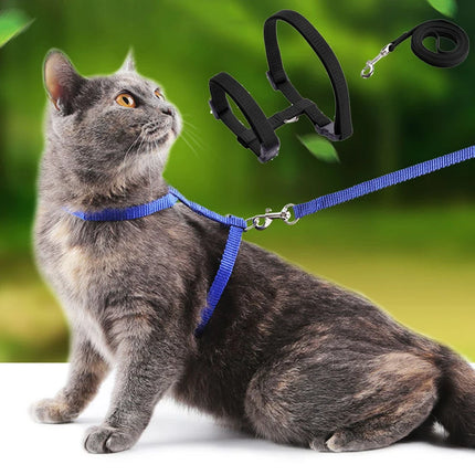 Cat harness and leash set