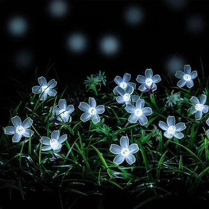 Guirlandes lumineuses solaires à LED florales pour jardin