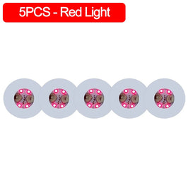Rojo - 5 unidades / 6 cm