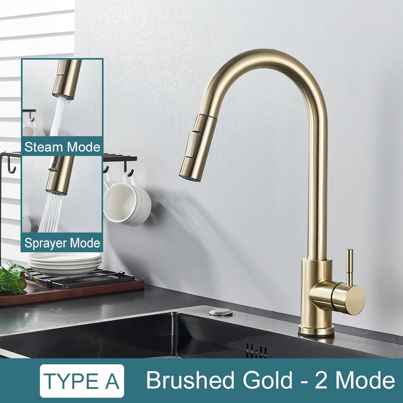Grifo de cocina con doble función y salida retráctilGrifosHardware > Plumbing > Plumbing Fixtures > Faucets > Kitchen Sink Faucets