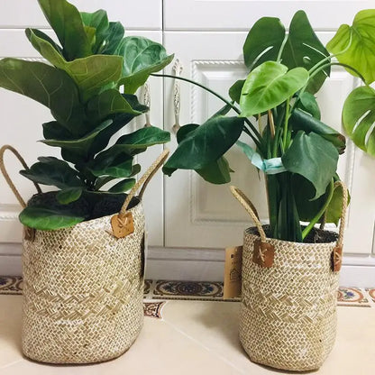 Decorative baskets for plants and ornaments