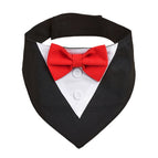 Red bow tie