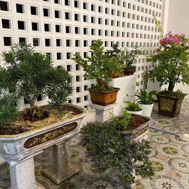 Molde de ladrillo hueco 20x20x6cmVallas