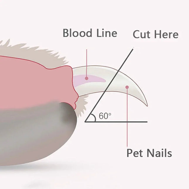 Coupe-ongles avec rangement et lumière LED pour animaux de compagnie