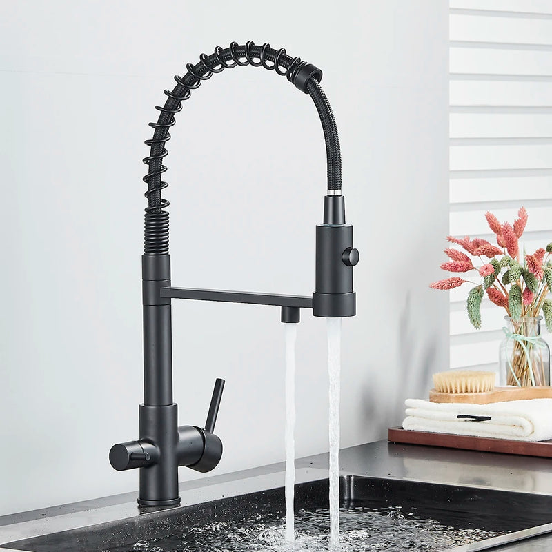 Grifo de cocina negro mate con filtro y doble manijaGrifosHardware > Plumbing > Plumbing Fixtures > Faucets > Kitchen Sink Faucets