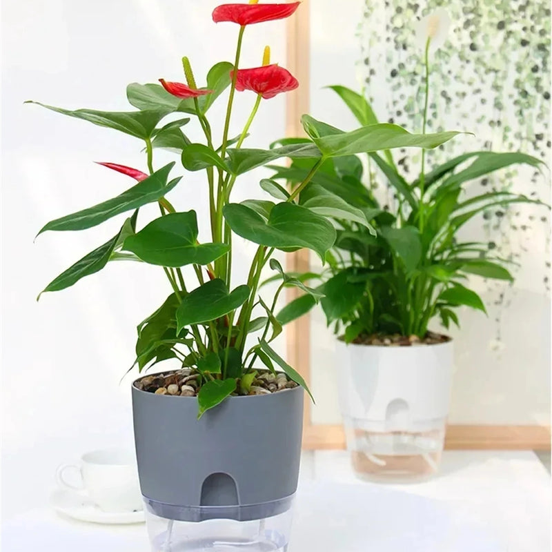 Maceta hidropónica de dos capas autorriegoMacetas