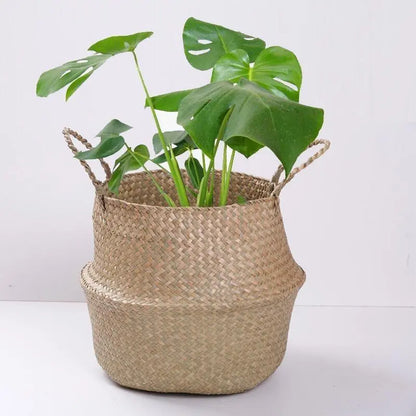 Paniers de rangement pour plantes et ornements