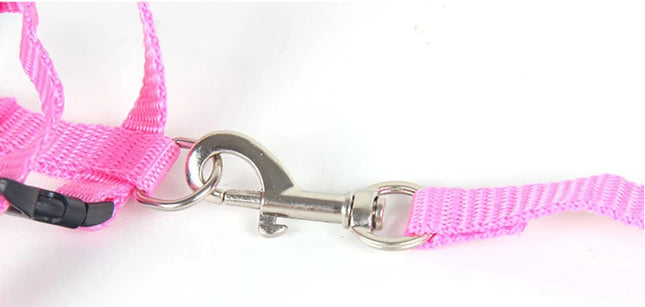 Cat harness and leash set