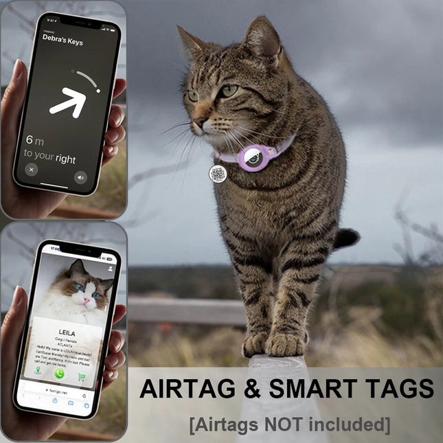 Collier pour chat avec support GPS et étiquette QR