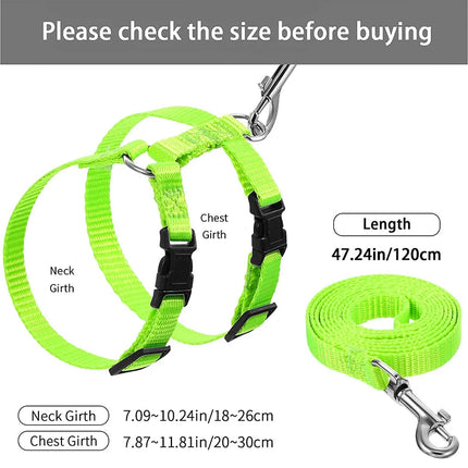 Cat harness and leash set