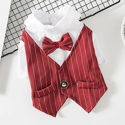 Suit, shirt and bow tie for cats