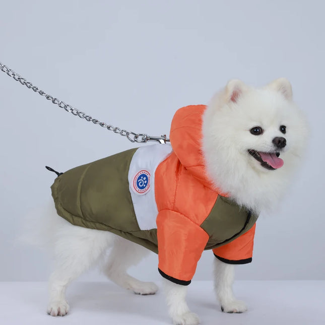 Veste d'hiver multicolore chaude et imperméable pour chien